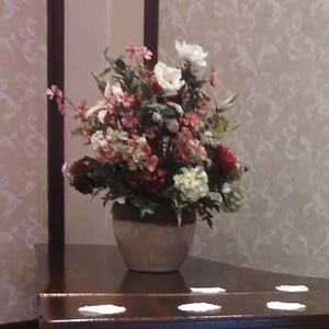 Meet your Posher, Rosy